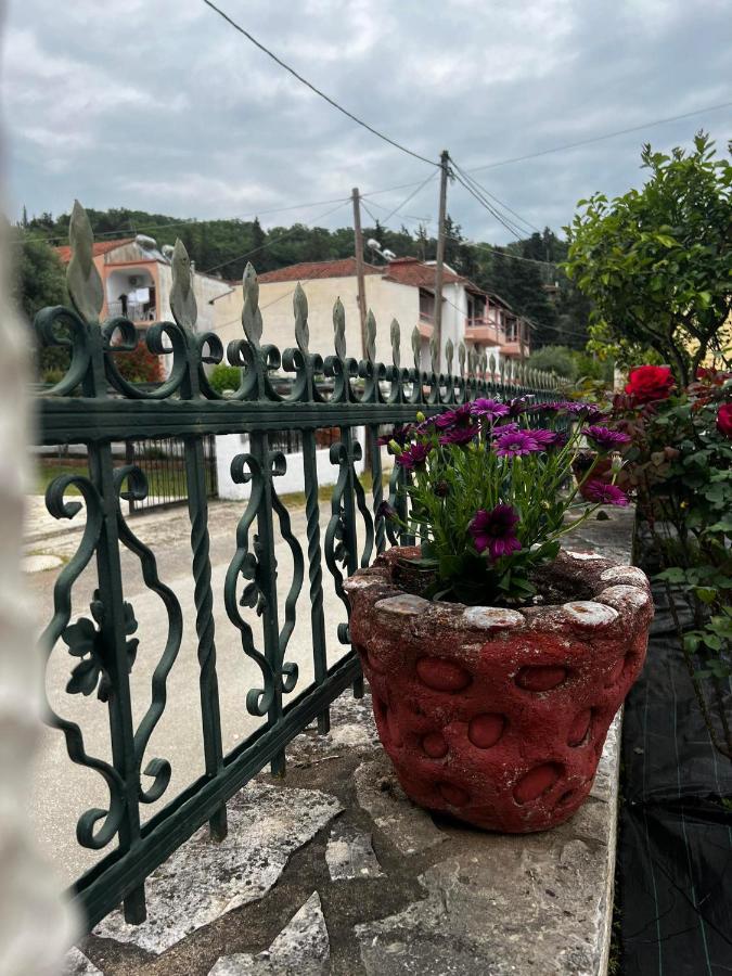 Dionysus Apartments & Studios Sivota  Luaran gambar